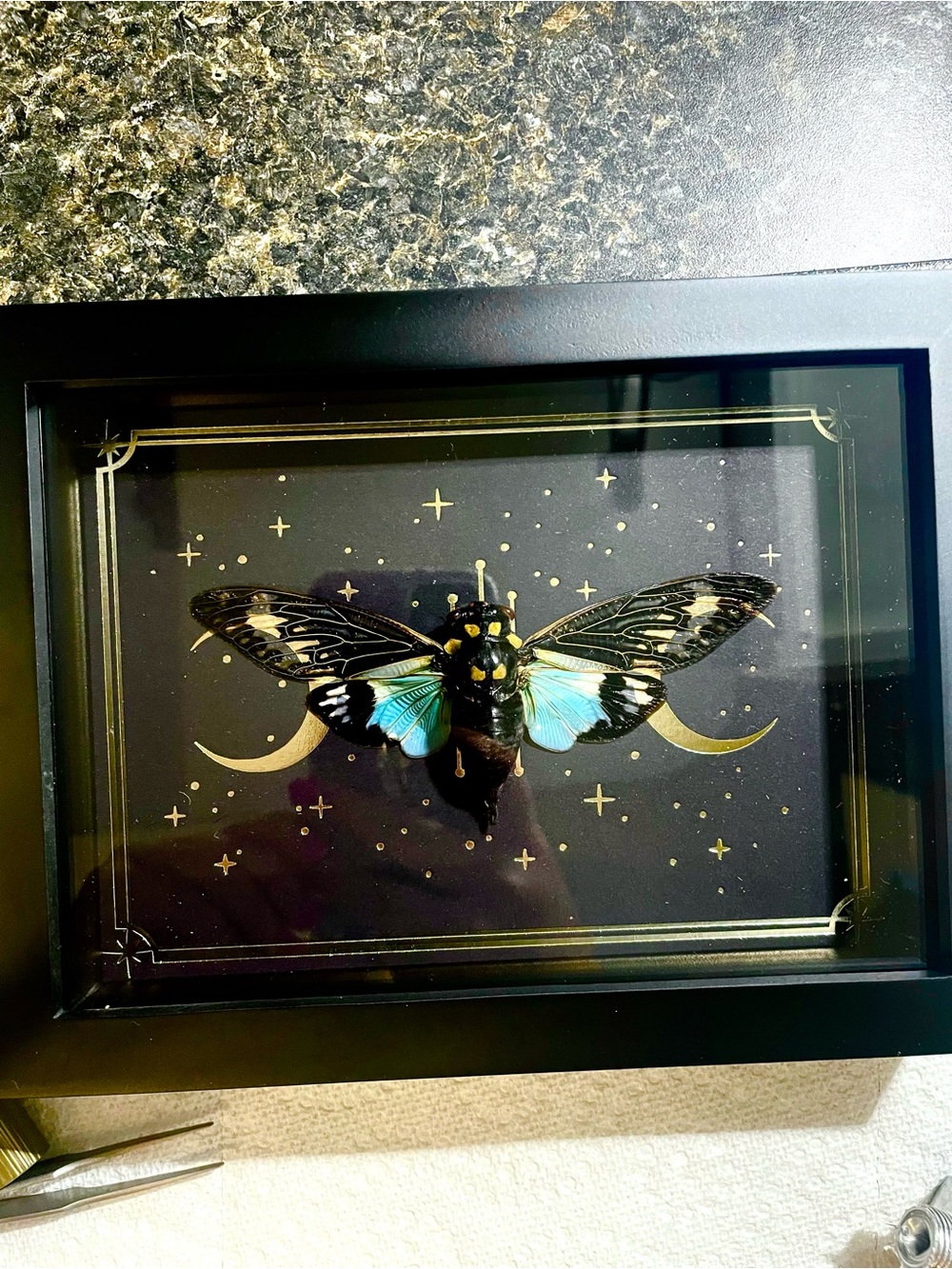 Framed Blue Ghost Cicada Wall Art